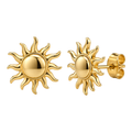 Golden Sun Stainless Steel Stud Earrings | Norvell Brane